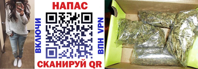 Бошки марихуана Bruce Banner  Ельня 
